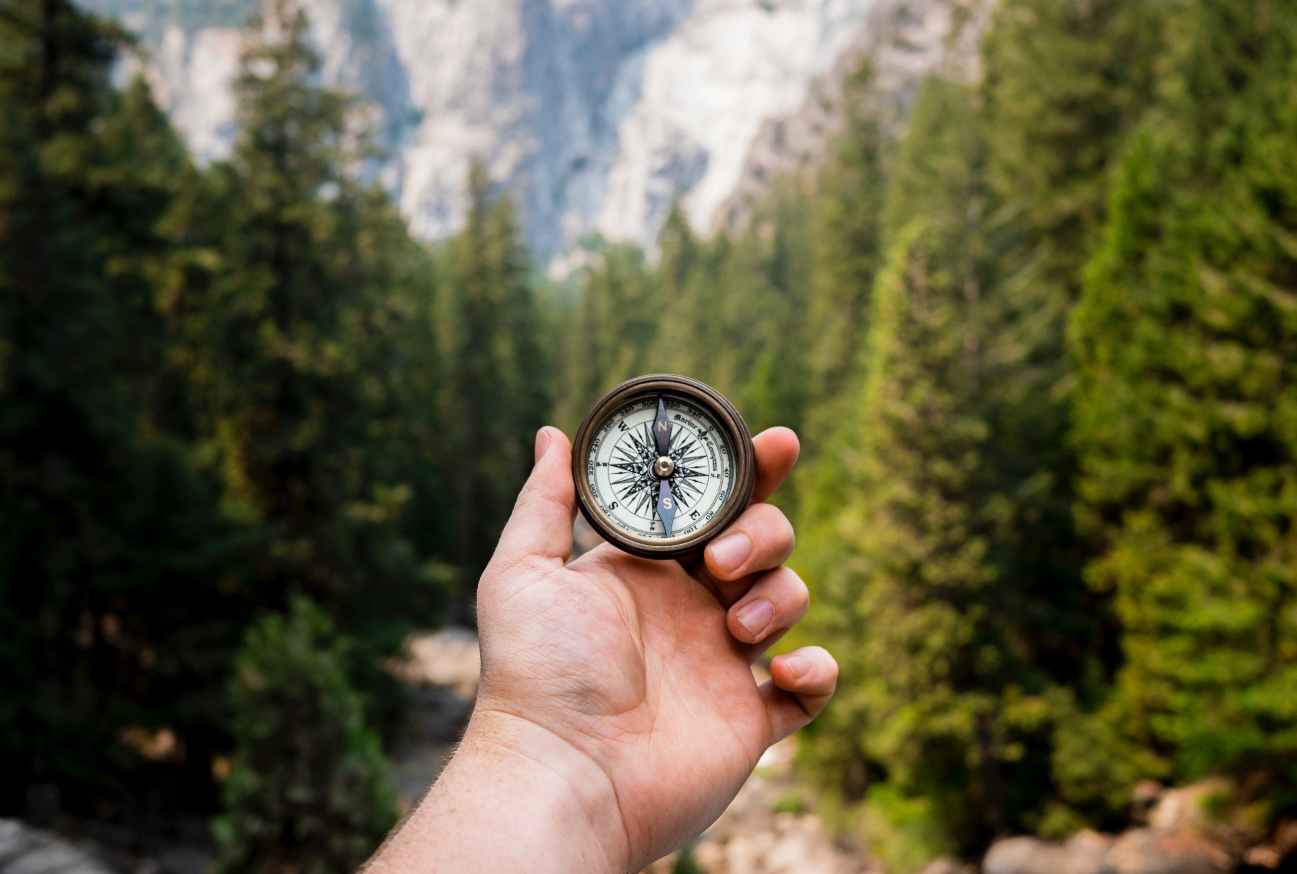human hand holding a compass against a forest background