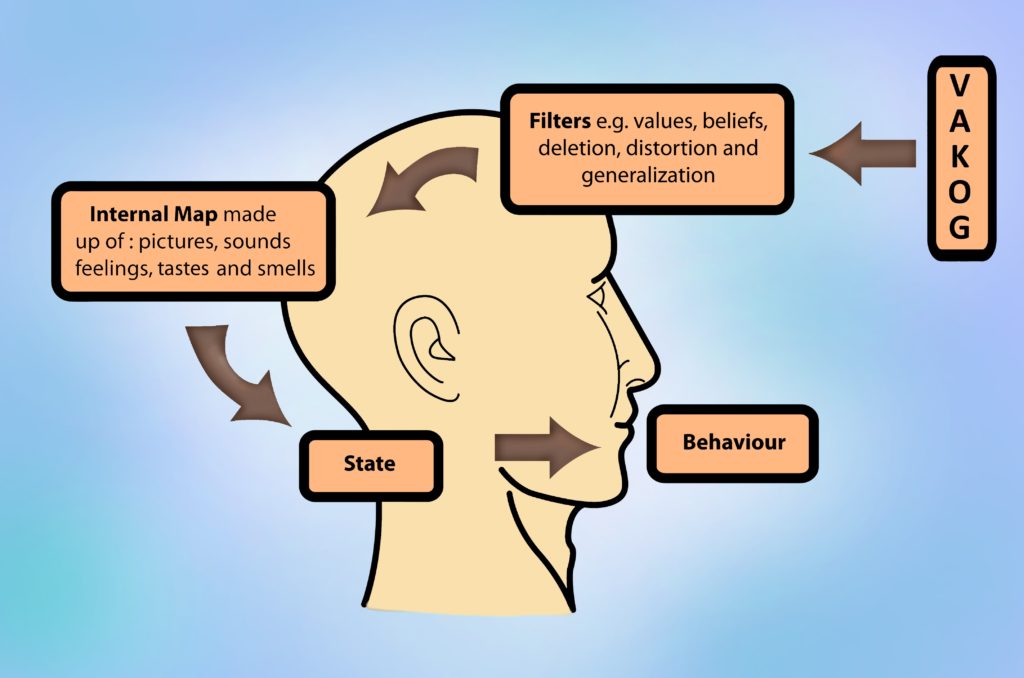 Diagram of The Meta Model.
Drawing of a human head in profile with captions showing the process of how we make sense of external stimulation.