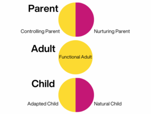 3 circles on top of each other representing the Parent Adult Child Model in Transactional Analysis